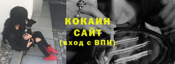 крисы Новокубанск