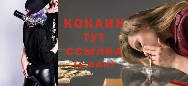 крисы Новокубанск