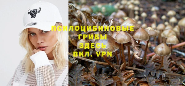 каннабис Новозыбков