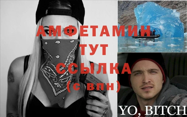 крисы Новокубанск