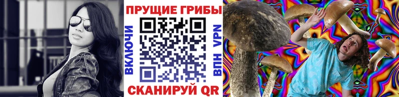Купить где  Сухиничи  Галлюциногенные грибы Psilocybine cubensis 