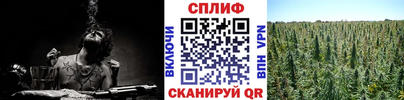 Купить где  Сухиничи  Конопля LSD WEED 